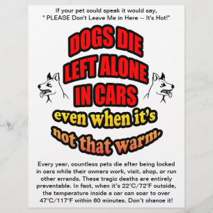 VERLAAT UW PETS ALLEEN IN EEN AUTO FLYER
