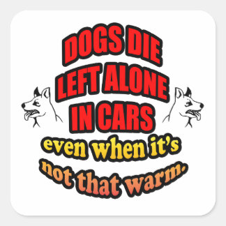 VERLAAT UW PETS ALLEEN IN EEN AUTO VIERKANTE STICKER