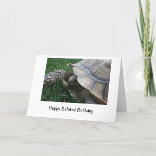 Verlate geboortedag Kaart met schildpad