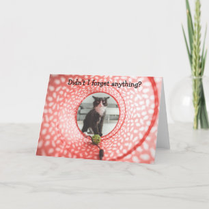 Verlate verjaardag? Grappige kaart met kat