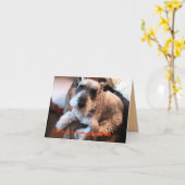 Verlate verjaardag, humoristisch kaart (Gele Bloem)