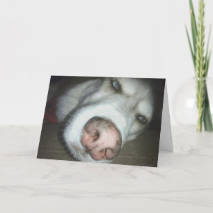 Verlate verjaardag Husky Dog Wenskaart Kaart
