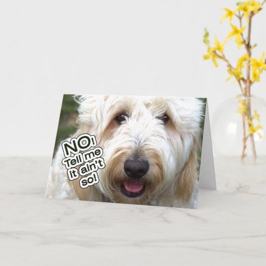 VERLATE VERJAARDAG KAART - NEE, ZEG ME DAT HET NIE (Gele Bloem)