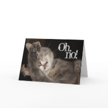 Verlate verjaardag, kat