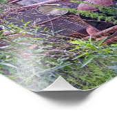 Verlaten auto foto afdruk (Hoek)