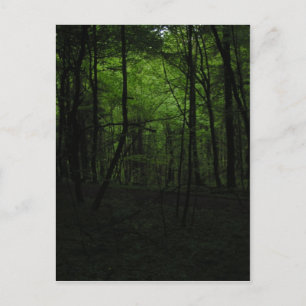 Verlaten donker bos briefkaart