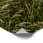 Verlaten oude auto in groot gras poster (Hoek)