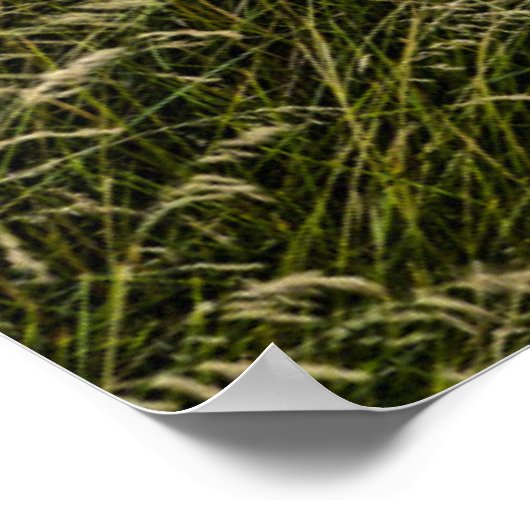 Verlaten oude auto in groot gras poster (Hoek)