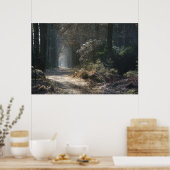 verlaten pad in de bossen poster (Keuken)