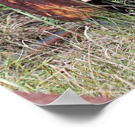 Verlaten Poster vrachtwagen (Hoek)