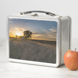 Verlaten Shed Colorado Sunset Lunchbox