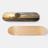 Verlaten Shed Colorado Sunset Skateboard (Horizontaal)