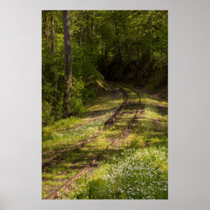 Verlaten spoorweg in een bos poster