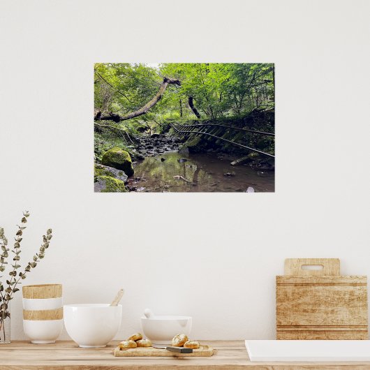 Verlaten Spoorweg Poster (Keuken)