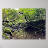 Verlaten Spoorweg Poster (Voorkant)