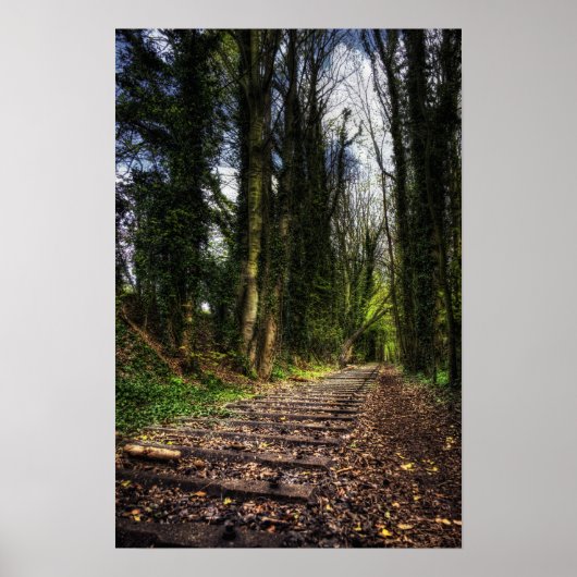 Verlaten Spoorwegtracks HDR Poster (Voorkant)