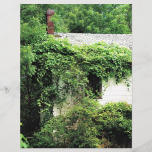 Verlaten Witte Huis in de Bossen