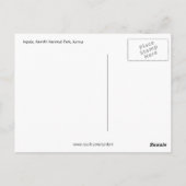 verlegen impala briefkaart (Achterkant)