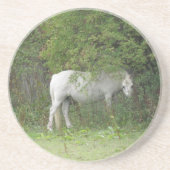 Verlegen witte paard onderzetters (Voorkant)