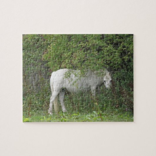 Verlegen Witte Paard Puzzel (Horizontaal)