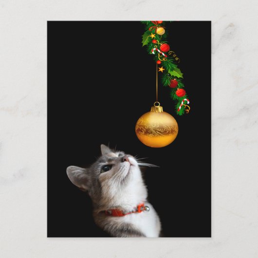 Verleid poesje kat kerst feestdagenkaart (Voorkant)