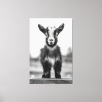 Verleidelijk monochromatische sierlijke Baby geite