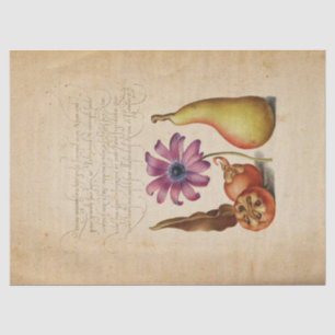 Verlicht Manuscript Calligraphy Tissue Paper Tissuepapier