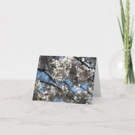 Verlichtde Cherry Blossom Notecard Bedankkaart