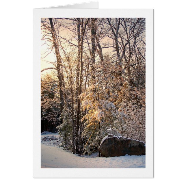 Verlichte winter (Voorkant)