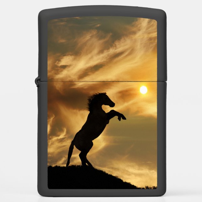 Verlichter voor wilde paarden (Voorkant)