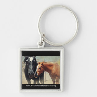 Verlichting en beschut sleutelhanger