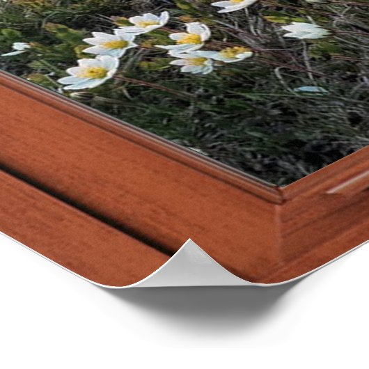 Verlichting gordelraam Daisy Mountain Poster (Hoek)