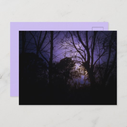 Verlichting in het Briefkaart bomen (Voorkant / Achterkant)