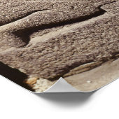 Verlichting van de zoon van King Araras Poster (Hoek)