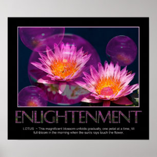 VerlichtingsPoster - Waterlily - Lotus Poster