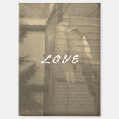 verliefde magneet (Voorkant)