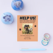 VERLIES DOG FLYERS. HELP ONS! Bewerkbare details Flyer (Enkel)