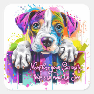 Verlies nooit je nieuwsgierigheid, er is zoveel te vierkante sticker