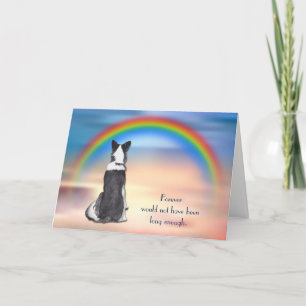 Verlies van Border Collie Rainbow Sympathy Card Feestdagen Kaart
