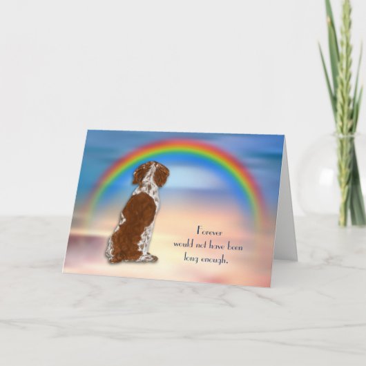 Verlies van Brittany Spaniel Dog Rainbow Sympathy Feestdagen Kaart (Voorkant)