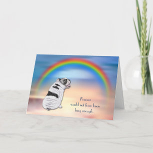 Verlies van Bulldog Rainbow Sympathy Card Feestdagen Kaart