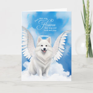 Verlies van een hond American Eskimo Angel Pet Sym Kaart
