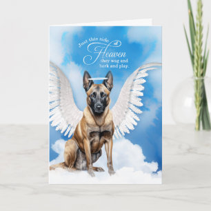 Verlies van een hond Belgische Malinois Angel Pet Kaart