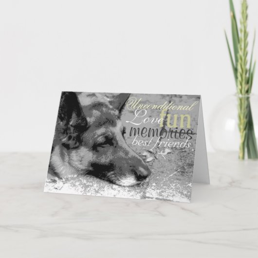 Verlies van een huisdier kaart (Voorkant)