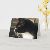 Verlies van een kat kaart (Gele Bloem)