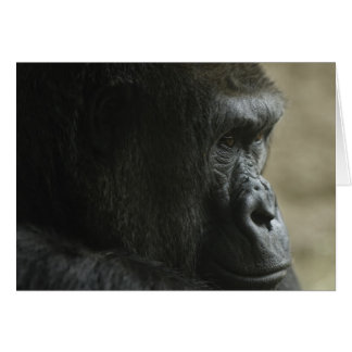 Verlies van gedachten