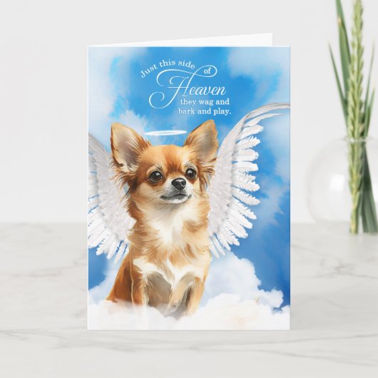 Verlies van hond tan longhair chihuahua huisdier s kaart (Voorkant)