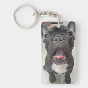 Verlies van huisdier  Hond  Memorial Keepsake met  Sleutelhanger