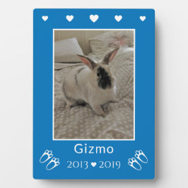 Verlies van huisdier konijn bij kinderen | Blauwe  Fotoplaat