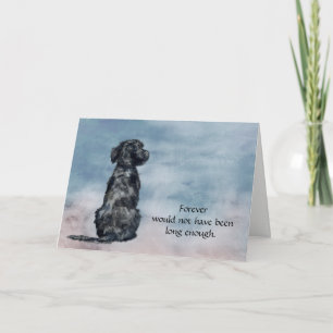 Verlies van Portugese Waterhond Sympathiekaart Feestdagen Kaart
